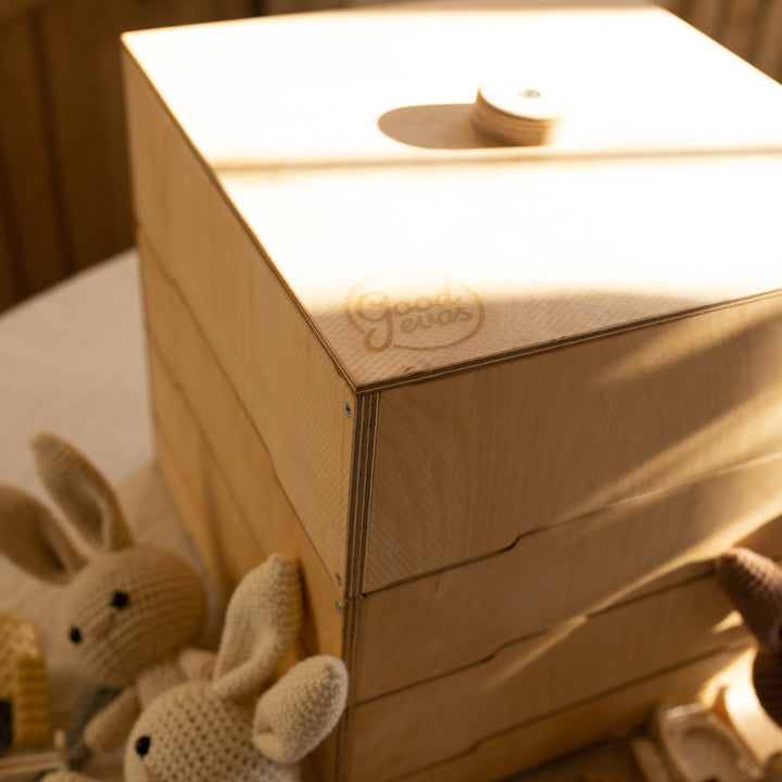 Wooden Building Bricks Sorter / Sifter