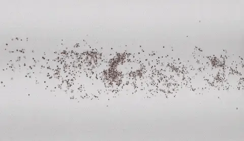 Ggumbi Licoco XL Play Mat 500×140cm – Extra-Large Non-Toxic Foam Mat, 2.2cm Thick, Waterproof & Anti-Slip