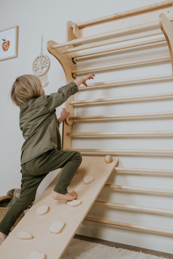 Pikler Triangle & Swedish Ladder Wall Gym – 2-in-1 Kids Climber Set