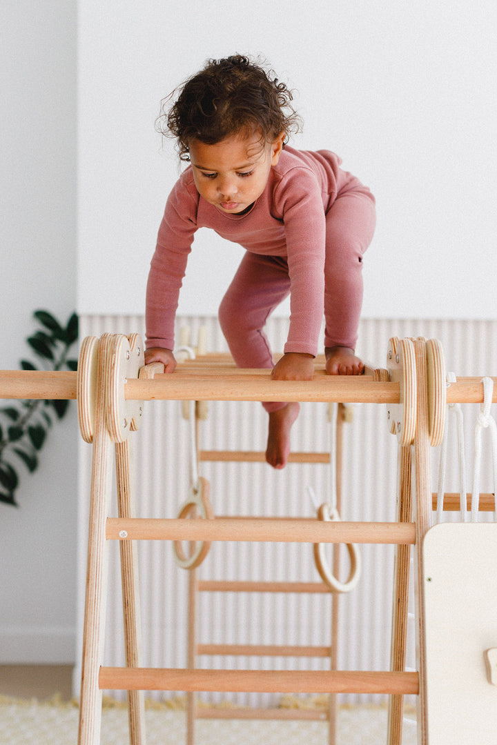 6-in-1 Indoor Jungle Gym for Kids (Climber, Slide, Swing, Monkey Bars)