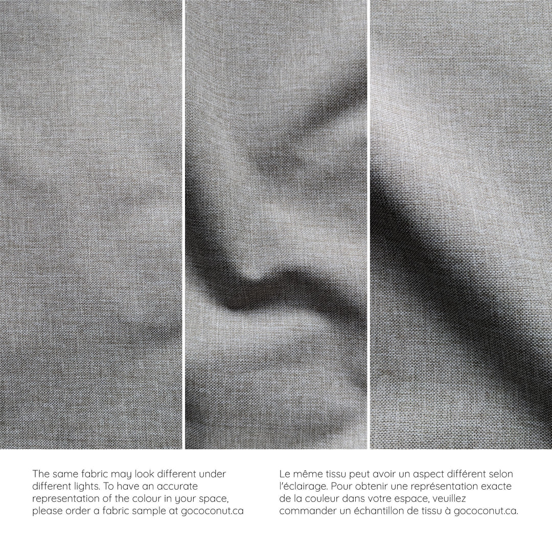 The Adventure Coconut