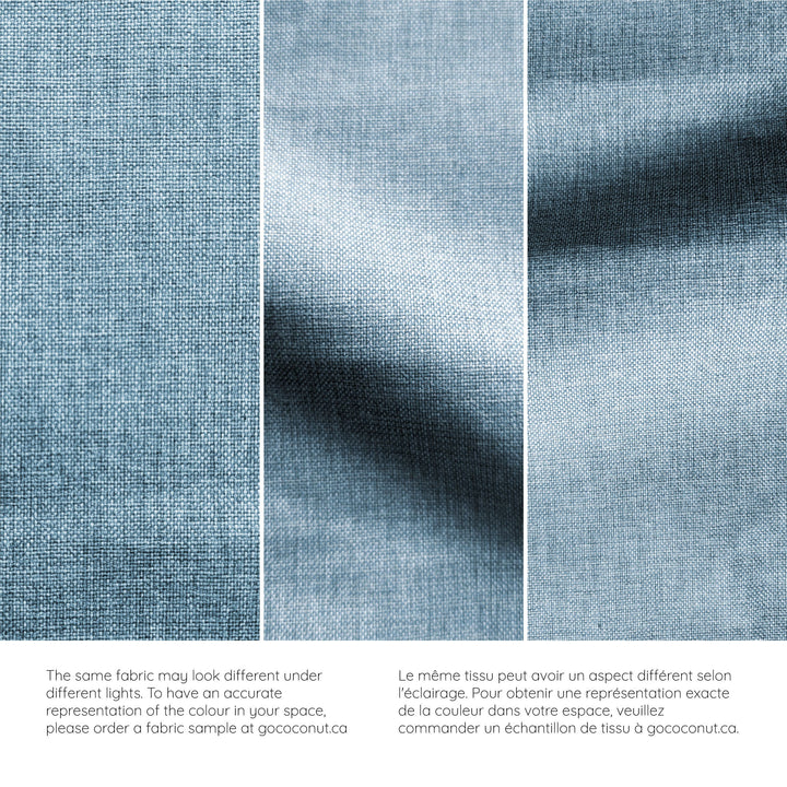 The Adventure Coconut