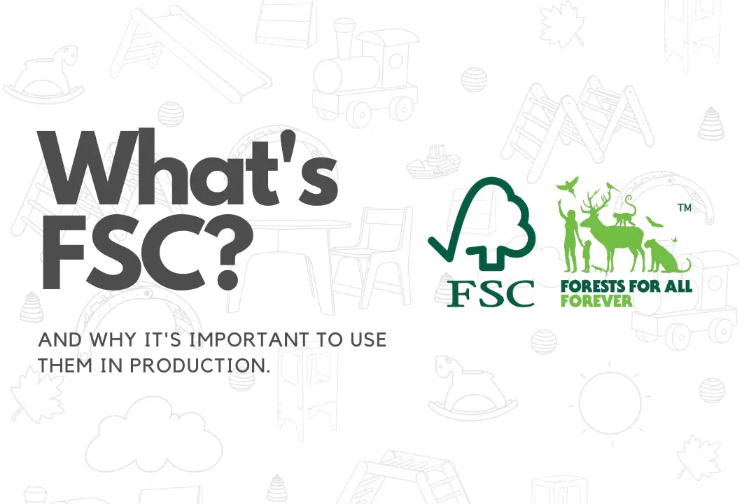Prioritizing Sustainability: The Importance of FSC Certification And Eco-Friendly Packaging At True Little North True Little North