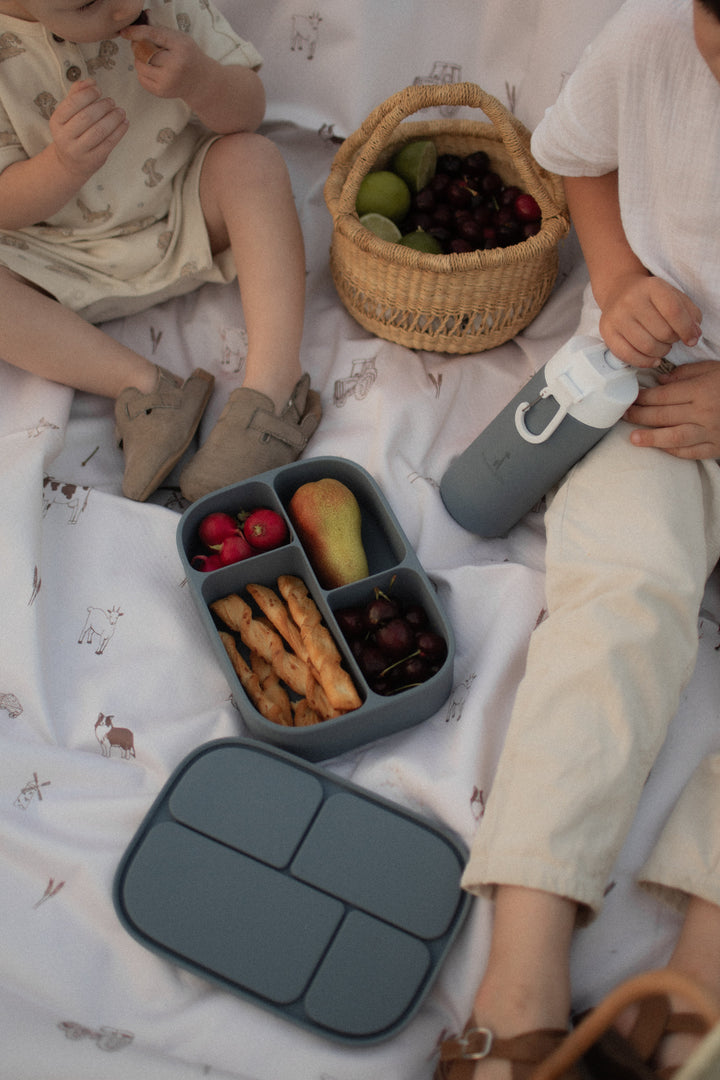 Silicone bento lunch box