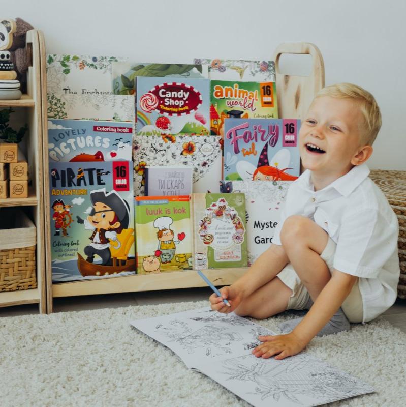 3 In 1 Montessori Shelves Set: Bookdisplay + Toy Shelf + Bricks Sorter