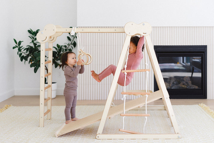 6-in-1 Indoor Jungle Gym for Kids (Climber, Slide, Swing, Monkey Bars)