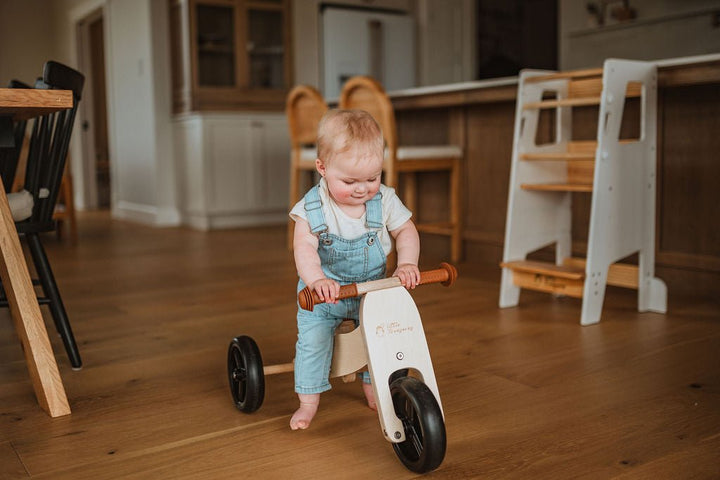 Transformable Toddler Balance Bike : The 2-In-1 Balance Bike for Kids