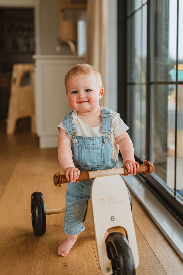 Transformable Toddler Balance Bike : The 2-In-1 Balance Bike for Kids